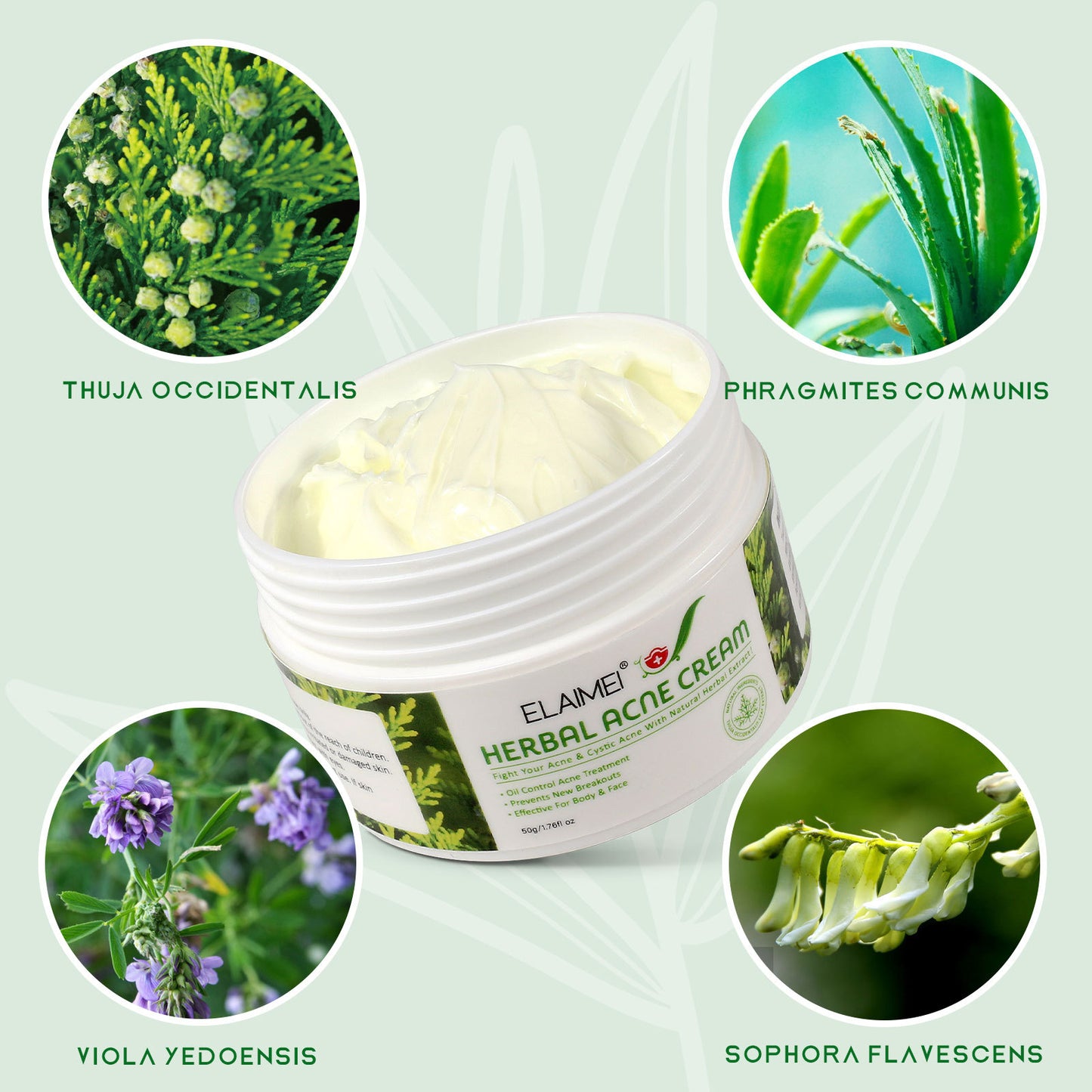 Organic Herbal Extract Anti Acne Treatment Face Cream I Remove Pimple Moisturizing Whitening Skin Care