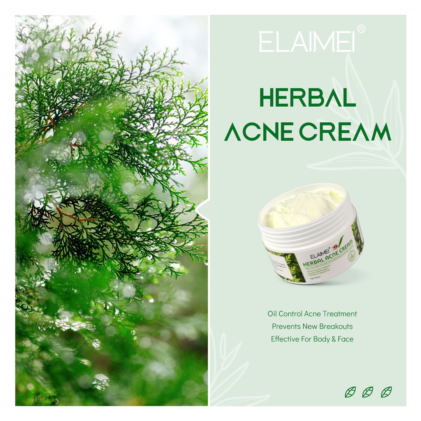 Organic Herbal Extract Anti Acne Treatment Face Cream I Remove Pimple Moisturizing Whitening Skin Care
